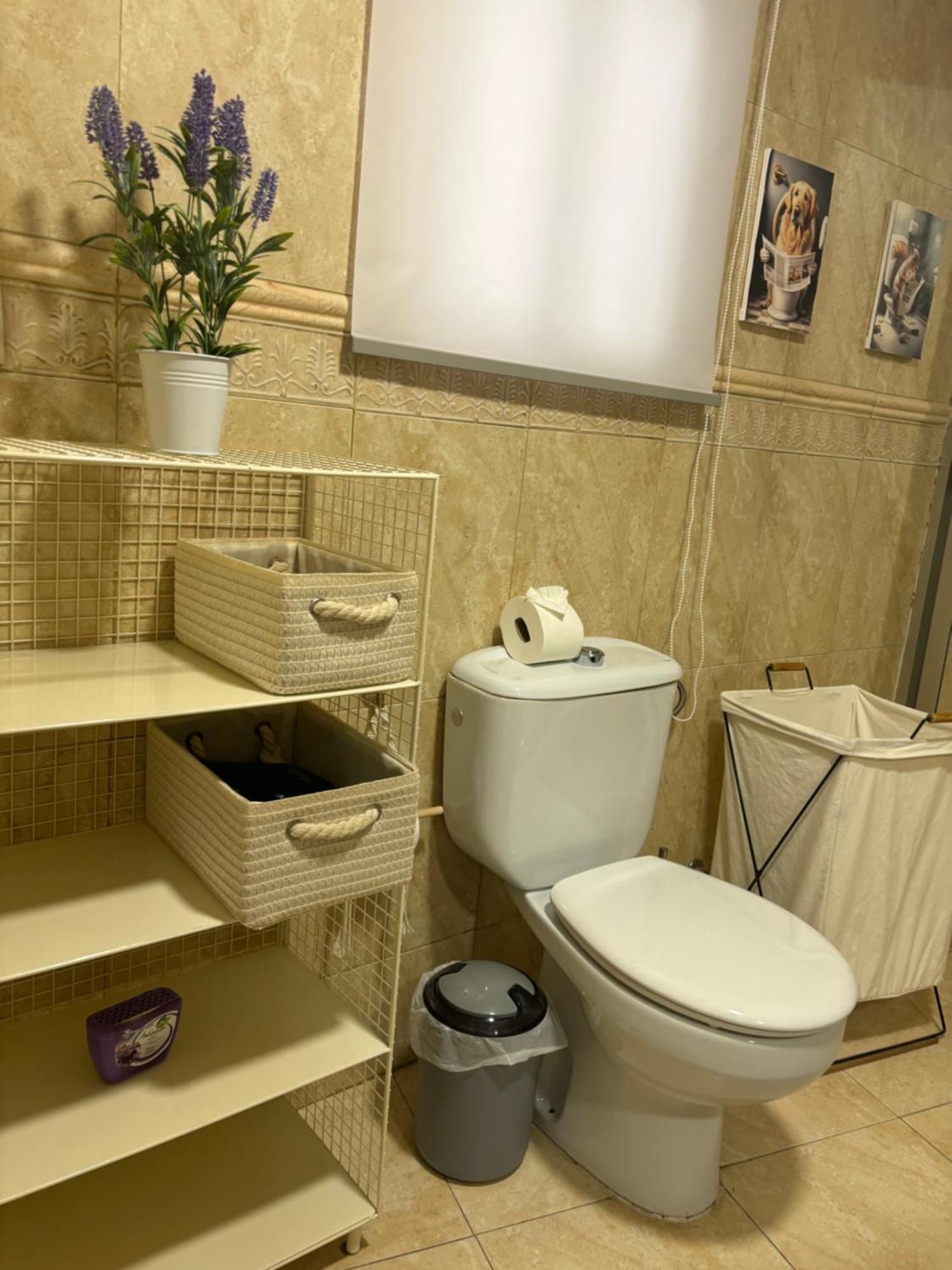 טולדו Apartamentos Mayte מראה חיצוני תמונה