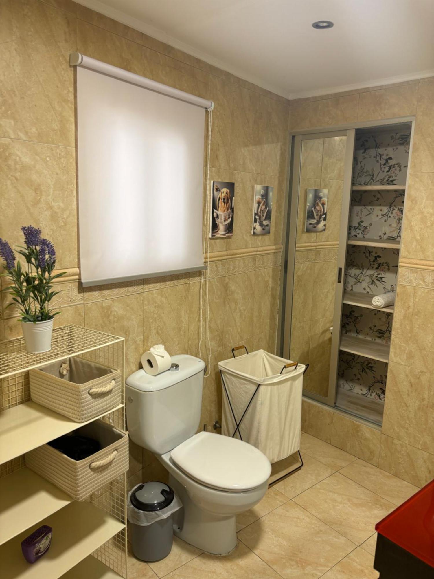 טולדו Apartamentos Mayte מראה חיצוני תמונה